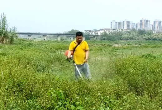  Brush Cutter